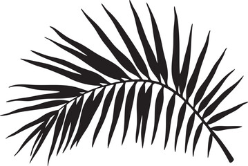 Obraz premium A tropical-themed collection of black palm tree and palm leaf silhouettes on white backgrounds, ideal for summer designs, prints, or beach-style decor.