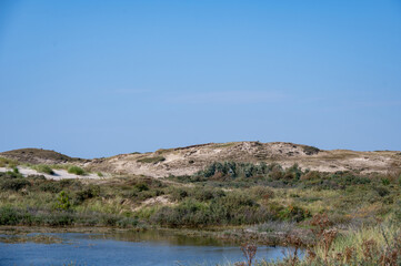 A lake in the dune nature reserve with blue sky