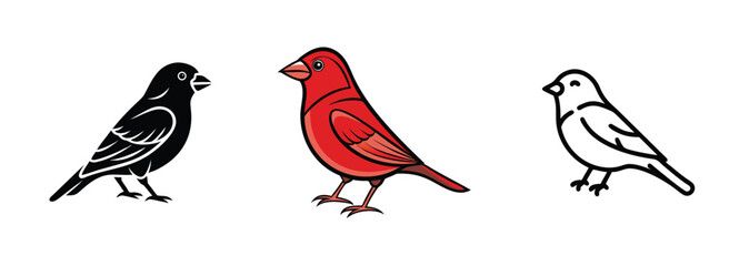 Three Bird Illustrations Black, Red, White Avian Designs