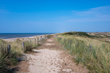 Path through the dunes with fence and beach grass on the North Sea coast