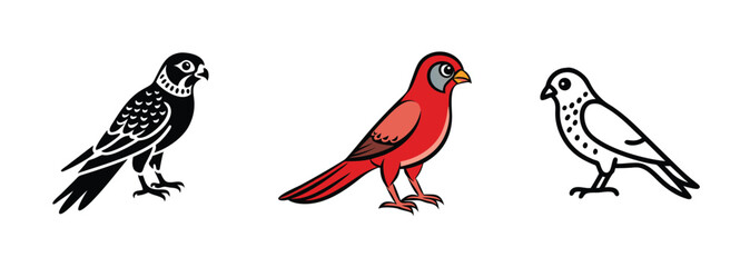 Bird Illustrations Black, Red, White Avian Designs