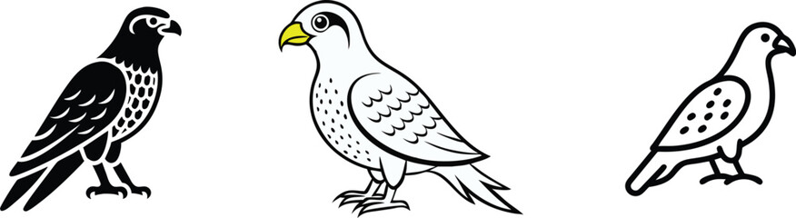 Falcon, Hawk, Parrot, Pigeon Bird Illustrations, Graphic Designs