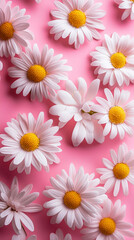 Obraz premium Bright white daisies scattered on a vibrant pink background creating a cheerful floral arrangement
