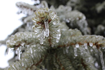 Fototapeta premium Ice Storm