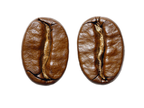 Isolated Macro Shot of Coffee Beans