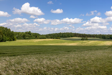agricultural activities for the cultivation of cereals for food production