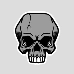 Skull Vector Illustration