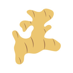 Illustration of a piece of ginger root, representing a spice used as an ingredient in cooking, a healthy addition to the diet, fresh produce, and its use in herbal medicine and flavoring