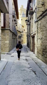 Beautiful Castle of Olite in Navarra, Spain