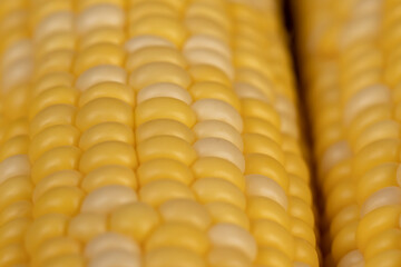 peeled corn cob with yellow and white seeds of different sizes and shades