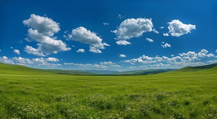 Fototapeta premium Vast Green Meadow Under Bright Blue Sky With Fluffy Clouds in a Serene Landscape