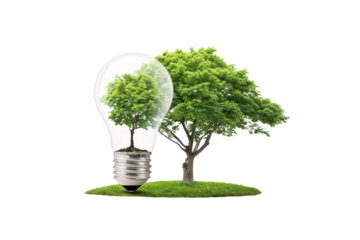 A glowing idea a healthy green tree inside a glass bulb next to its full-sized twin. Nature and technology coexist in a clever visual, isolated on a transparent background