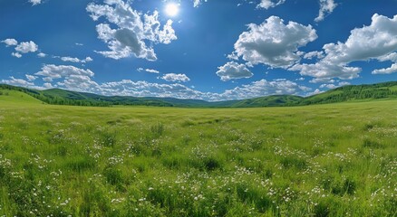 Fototapeta premium Vast Green Meadow Under Bright Blue Sky With Fluffy Clouds in a Serene Landscape