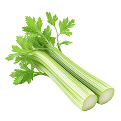 3D icon of Celery isolated on transparency background