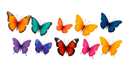Diverse Butterflies in Vivid Colors on Black Background, cut out transparent