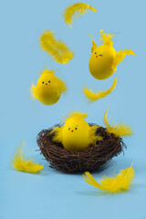 Cute yellow Easter eggs in the shape of chicks surrounded by feathers on a bright blue background. Easter greeating card.