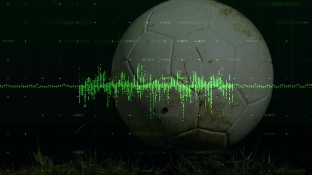 Animation of digital sound wave overlaying soccer ball on grass - Powered by Adobe