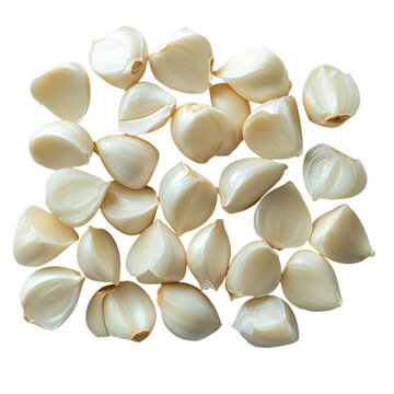 garlic on transparent background 