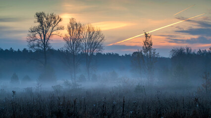 Foggy autumn morning in the field. Mystic autumn sunrise.