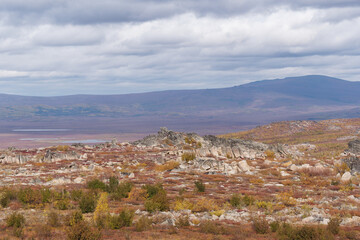 Obraz premium View of the Brooks Mountain Range in autumn colours from the Dalton Highway, Gates of the Arctic National Park and Preserve, Alaska, United States of America