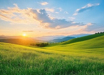 Fototapeta premium Rolling green hills bathed in golden sunset light