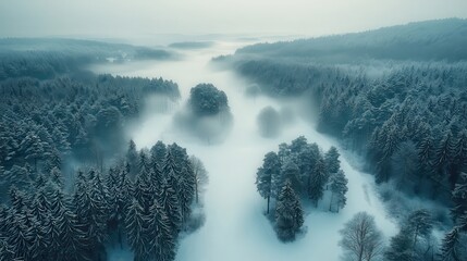 Aerial View of Snowy Forest Landscape