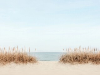 Serene Beachscape Calm Ocean Sand Dunes and Coastal Grass