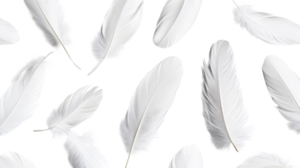 Soft white feather arrangement, background element, concept of lightness, cut out transparent