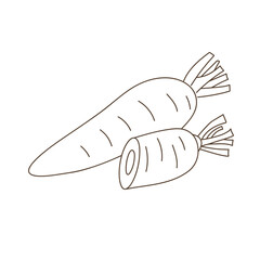 carrot sketch hand-drawn vegetable outline illustration organic root farm fresh ingredient healthy diet contour clipart rustic vintage monochrome botanical eco agriculture kitchen minimalistic
