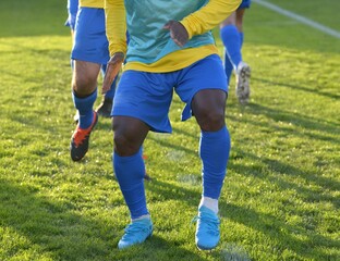 Fototapeta premium les joueurs de football à l'échauffement