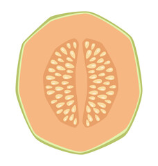 Vector isolated half melon illustration
