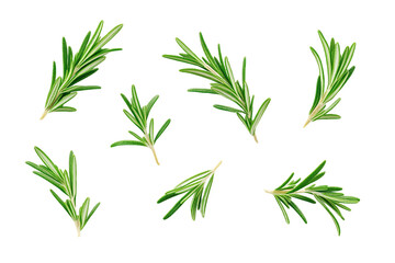 Obraz premium Collection of Fresh Green Rosemary Sprigs on Transparent Background, PNG