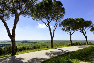 Castel del Monte, Apulien, Italien, Stauferkaiser Friedrich II,