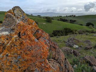 big rock covered in orange lichen on a cloudy day