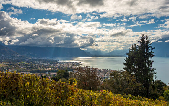 Autumn view of Lake Leman and surrounding vineyards