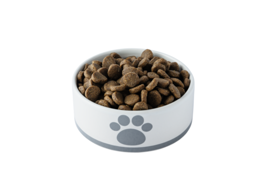 Dry organic dog food in white bowl cut out on transparent background for design. Plate full of mineral healthy dog or cat food. Pet dried granular food.