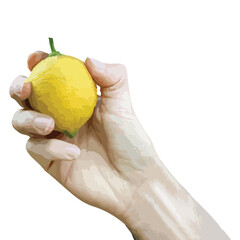 Man farmer hand harvesting or picking fresh lemon on lemon tree branch. Agriculture farm, organic ripe juicy fruit. Clean eating, healthy lifestyle, diet concept. Image trace vector.
