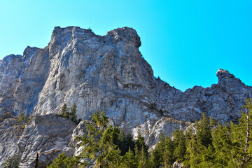 majestic mountins,high peaks, fabulous green forests atthe foot of the mountain peaks, wild nature