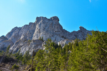 majestic mountins,high peaks, fabulous green forests atthe foot of the mountain peaks, wild nature