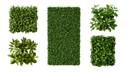 Green plants and vertical gardening elements, cut out transparent