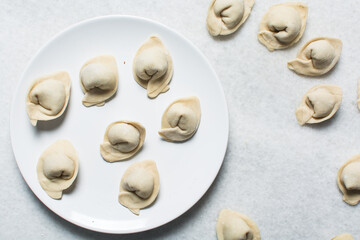 Overhead view of raw homemade wontons on a white plate, top view of chicken dumplings on white background, process of making dumplings