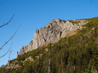 Fototapeta premium Dramatic Mountain Ridge with Rugged Rock Formation Rising Above Forested Hillside Under Vibrant Blue Sky