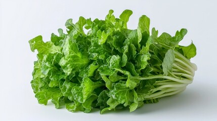 Obraz premium Fresh bunch of watercress leaves isolated on white background highlighting their bright green color and culinary uses