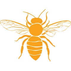 Fototapeta premium Flying Bee Design, Bee Clipart Design, Anthophila isolated, ‎Honey Bee Illustration, Cute Bee Graphics, isolated on white background 