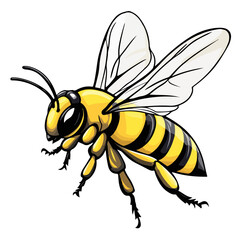 Flying Bee Design, Bee Clipart Design, Anthophila isolated, ‎Honey Bee Illustration, Cute Bee Graphics, isolated on white background 