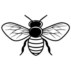 Obraz premium Flying Bee Design, Bee Clipart Design, Anthophila isolated, ‎Honey Bee Illustration, Cute Bee Graphics, isolated on white background 