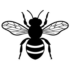 Obraz premium Flying Bee Design, Bee Clipart Design, Anthophila isolated, ‎Honey Bee Illustration, Cute Bee Graphics, isolated on white background 