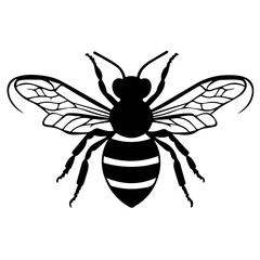 Flying Bee Design, Bee Clipart Design, Anthophila isolated, &lrm;Honey Bee Illustration, Cute Bee Graphics, isolated on white background 