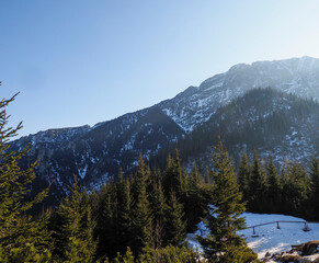 Fototapeta premium Sunlit Snow-Capped Mountains Towering Over Lush Green Coniferous Forest Under Blue Sky