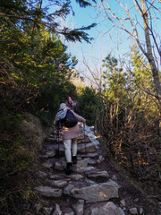Obraz premium Hiker Ascending Rocky Mountain Trail Through Forest on Sunny Autumn Day